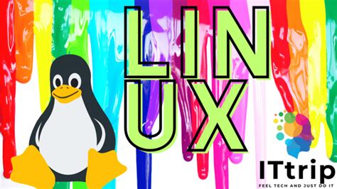 Mastering DNS Lookup in Linux: A Com.